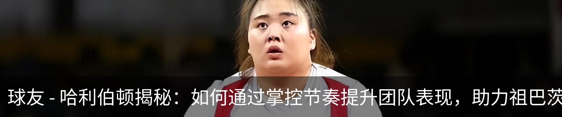 最新动态